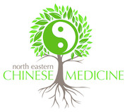 North Eastern Chinese Medicine Pic 4