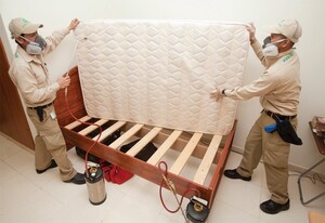 Bed Bug Removal Adelaide Pic 3