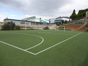 Synthetic Grass Tasmania Pic 4 - Synthetic grass sports futsal oval