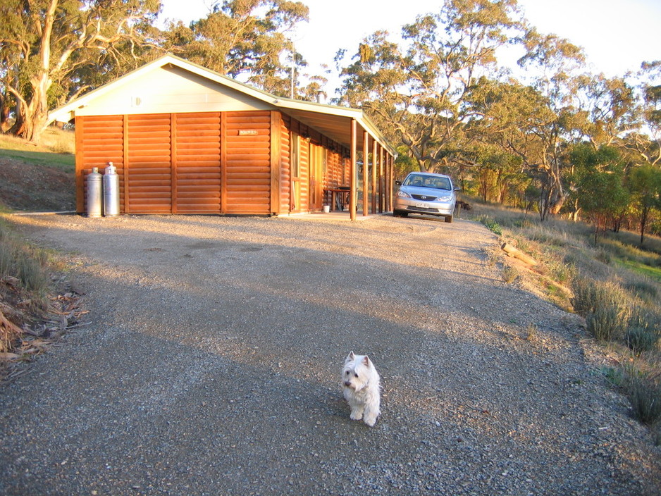 Molly's Chase Pic 1 - Mollyfies cabin