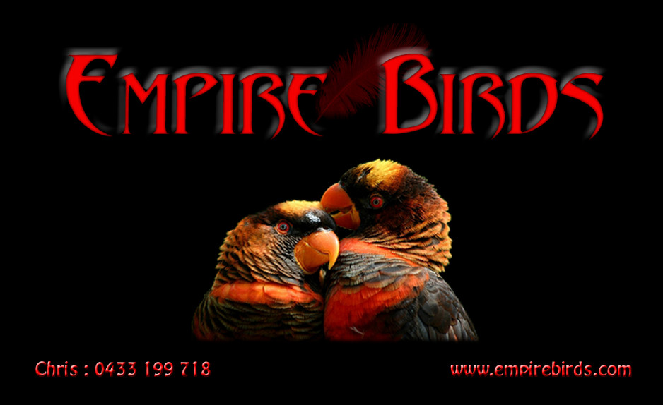 Empire Birds Pic 1