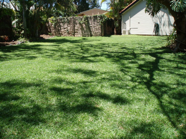 In2Turf Pic 1 - happy customers lawn in yeronga