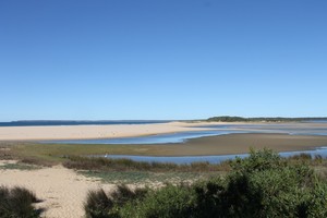 Illawarra Birding Tours Pic 4