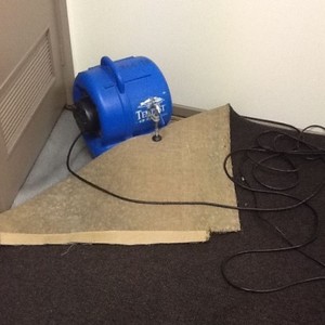 Wet Carpet Cleaners Pic 4