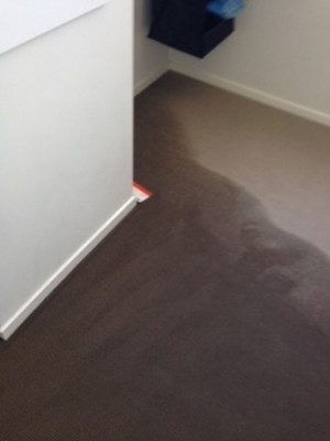 Wet Carpet Cleaners Pic 5