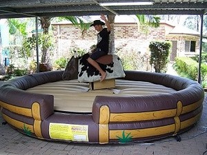 Party Time Amusements Pty Ltd Pic 4 - Bucking Bull