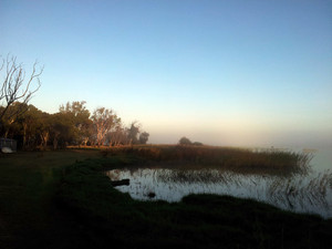 Coolabah Cabin Pic 4 - mist over the lake