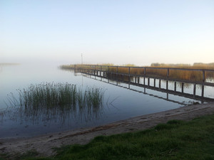 Coolabah Cabin Pic 5 - private jetty