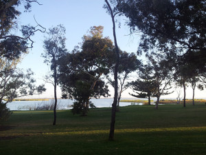 Coolabah Cabin Pic 3 - View of the lake from the cabin