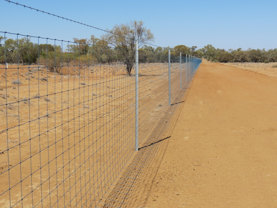 JTL Rural Fencing Pic 1 - Wild dog fencing Longreach western QLD