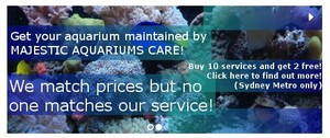 Majestic Aquariums Pic 4 - Majestic Aquariums Care