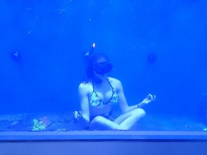 Majestic Aquariums Pic 3 - Relaxing in the Shark Tank after a hard days work