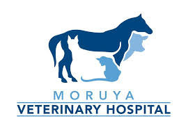 Moruya Veterinary Hospital Pic 1 - Add a caption