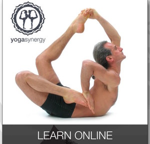 Yoga Synergy Pic 2 - Study online courses Yoga Anatomy