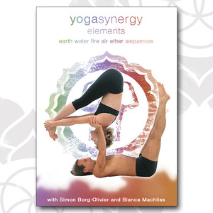 Yoga Synergy Pic 5 - Online videos