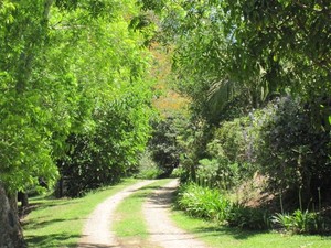 SummerHills Retreat Byron Bay Pic 4 - Nature Walks onsite 2km walk and 4km hike