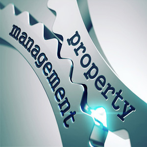 Your Next Move Real Estate Pic 5 - Your Next Move Property Management