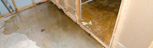 Water Damage Restoration Perth Pic 4