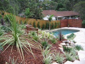 Sae Landscaping Pty Ltd Pic 2 - drought hardy