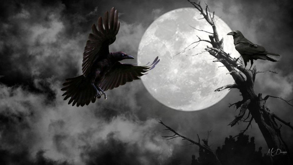 Ravens Divine Pic 1