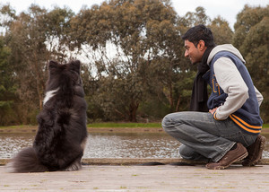 Pixel Pet Photography Pic 2 - Leah and Gajan hanging out