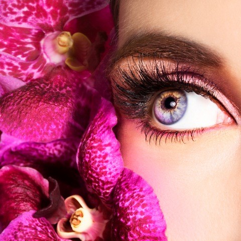 Wild for Beauty Pic 1 - Eyelash Extensions