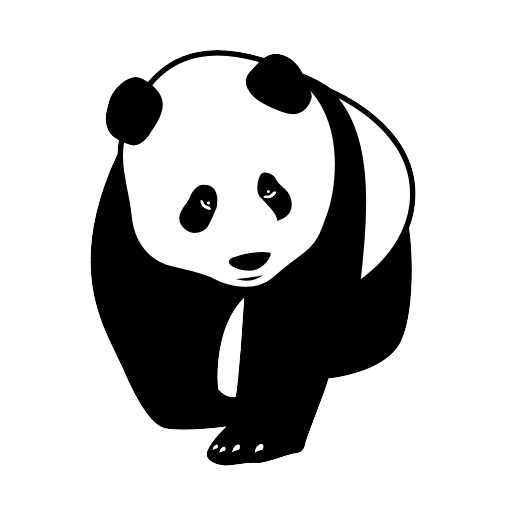 Panda ICT Pic 1