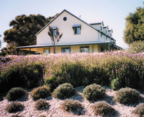 Serendipity Lavender Farm Pic 1 - Serendipity Lavender Farm