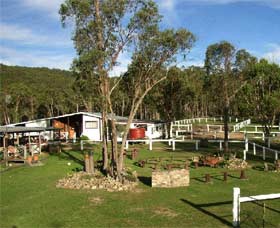 Pub Crawls On Horseback Pic 1 - Bullock Mountain Homestead