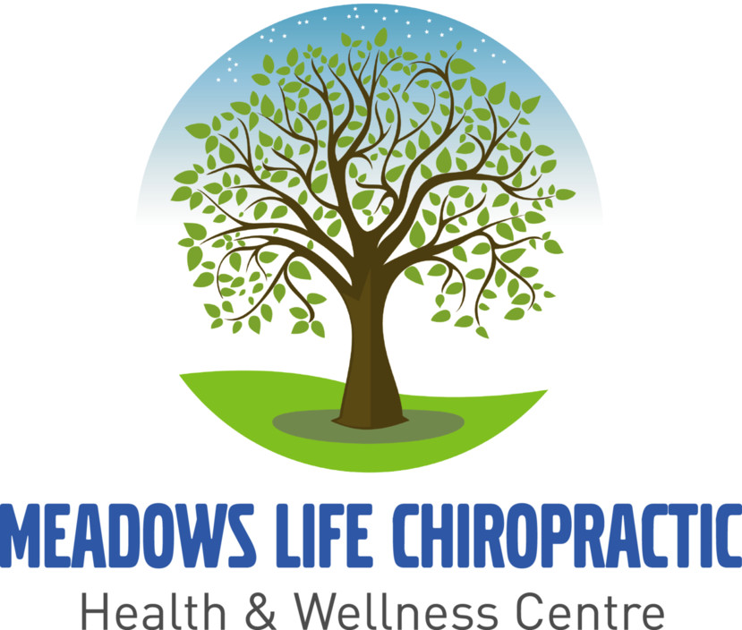 Meadows Life Chiropractic Health & Wellness Centre Pic 2