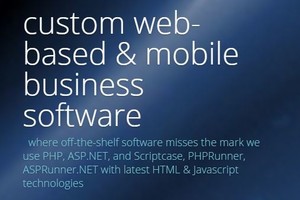 Alex McCullie Consulting Pty Ltd Pic 2 - Webbased business software to meet your needs