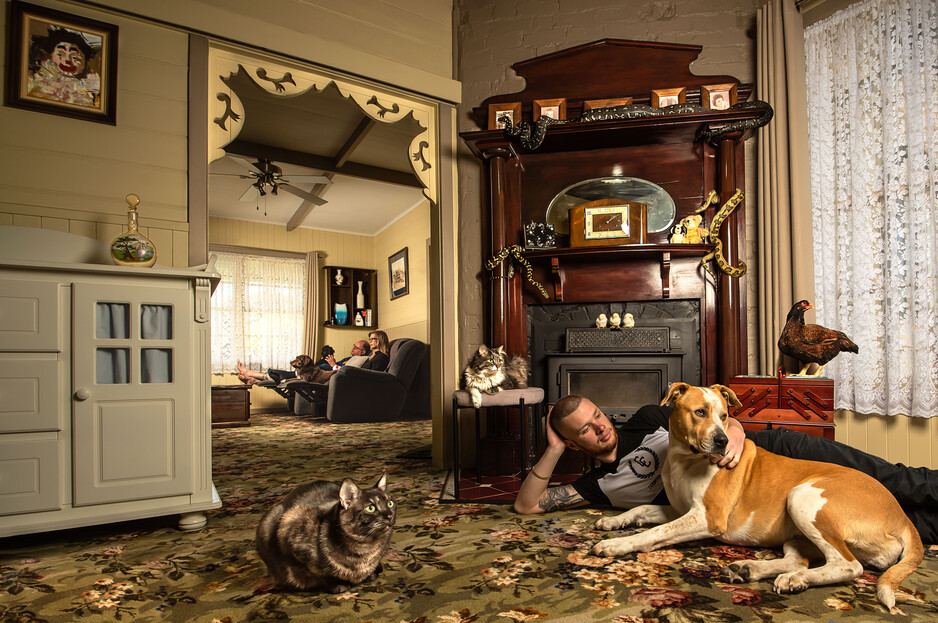 Colin Strauss Pet Photography Pic 1 - Family and Pets Portrait Photography