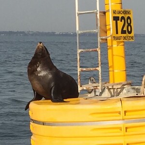 VIP Melbourne Boat Charter Pic 2