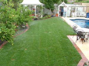 Sustainable Landscaping Pty Ltd Pic 2 - Turf Brick Edging