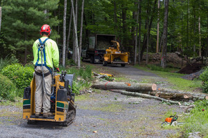 Treemendous Tree Care - Land Clearing Pic 4