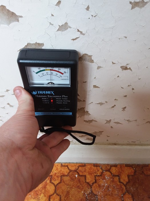 Australian Property & Building Inspections Pic 1 - moisture meter