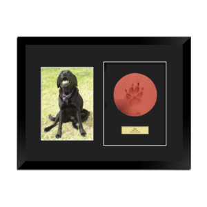 Angel Ashes Pet Cremations Pic 2 - Framed Paw Print 8x10 Photo Engraved Plaque 165