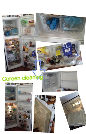 Coreen Cleaning Pic 5 - Fridge cleaning