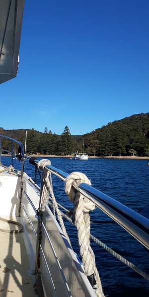 Palm Beach Water Taxi Pic 3