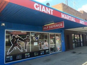 Giant Martial Arts Pic 1