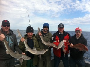 Gone Fishing Charters Pic 3 - Great trip with a few nice gummys and snapper