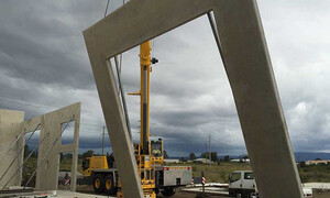 Shoalhaven Cranes Pic 4