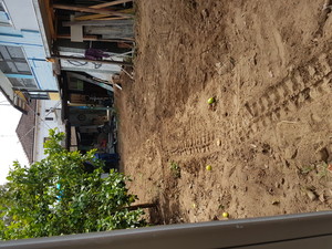 Trevs Excavations Pic 2 - land leveling in small backyard after removal of 50 tonnes soil and bricks