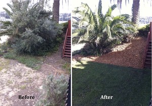 Chore Thing Pty Ltd Pic 4 - Call us today to see what we can do with your garden