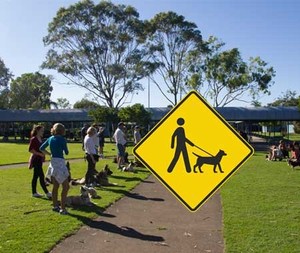 The Canine Classroom Pic 5 - Brisbane Dog Training