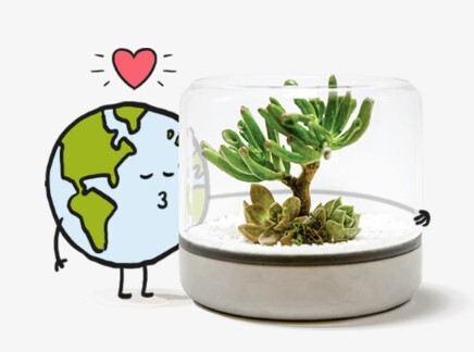 Littlegren Diy Terrarium Kits Pic 1