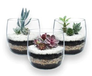 Littlegren Diy Terrarium Kits Pic 4