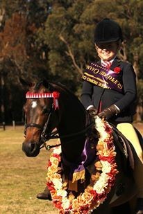 KK Equestrian (Horse Riding Lessons) Pic 3