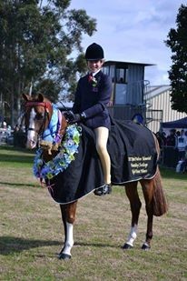 KK Equestrian (Horse Riding Lessons) Pic 5