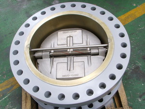 Infinity Industrial Supplies Pic 5 - Dual Plate Check Valve